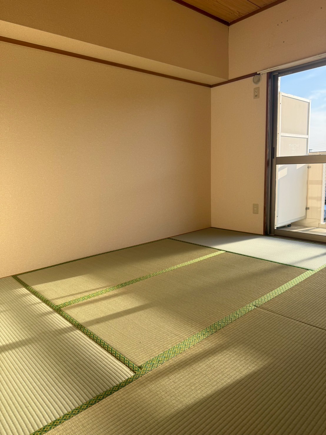 写真10
