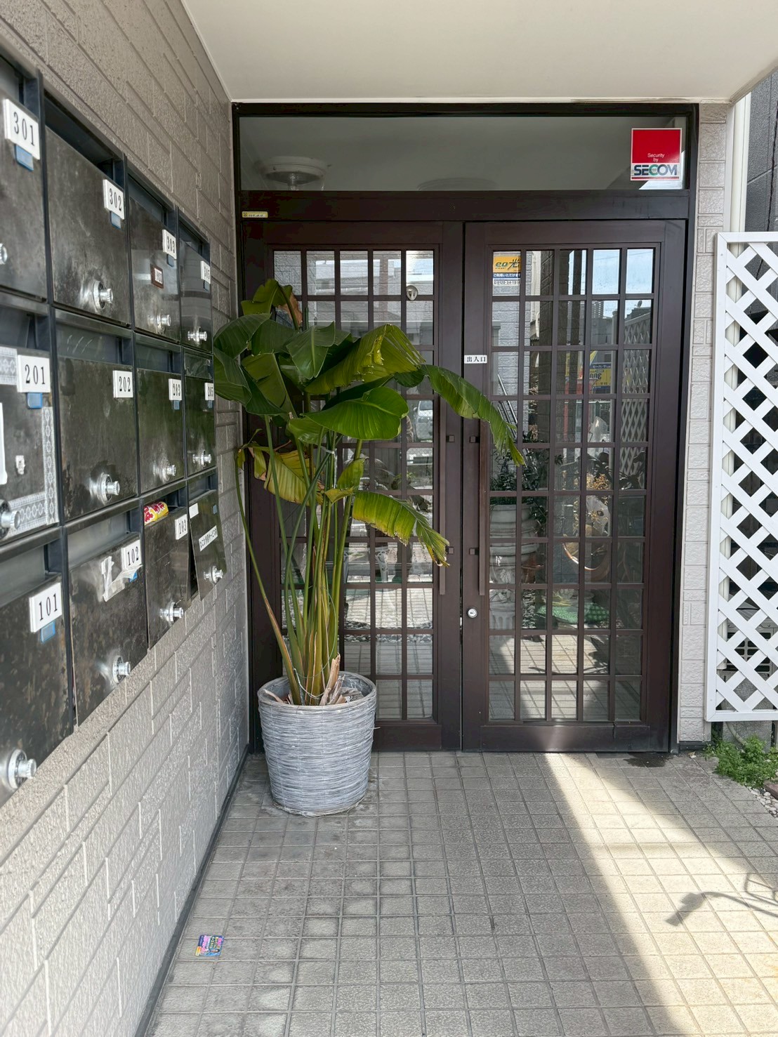 写真2