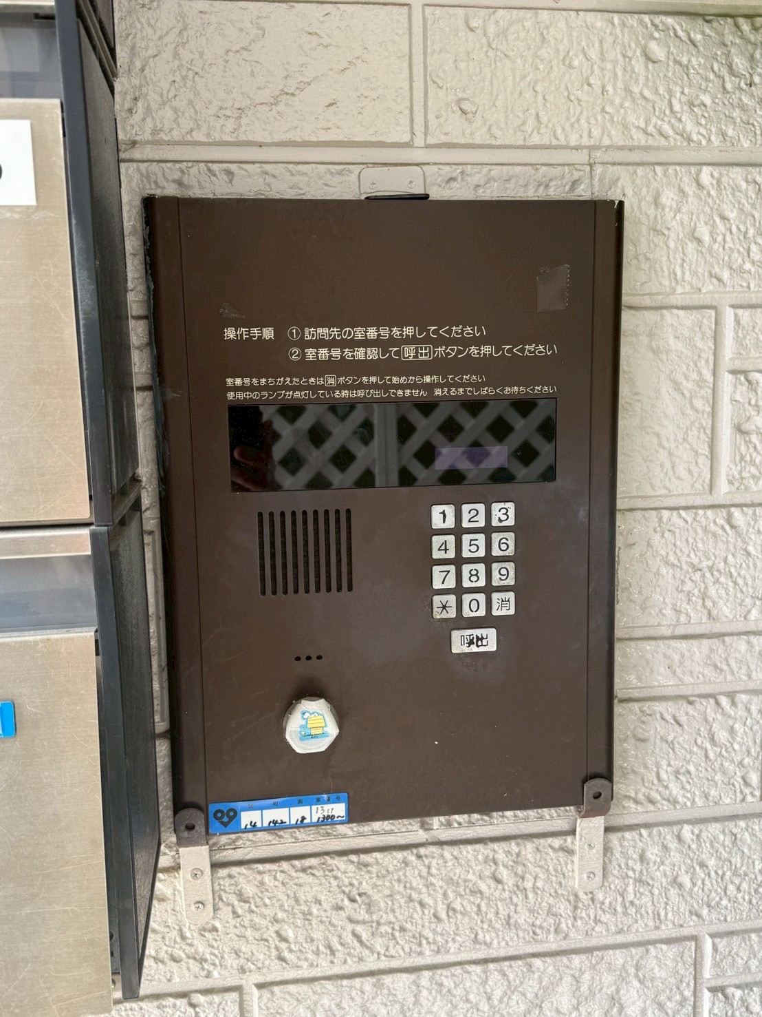 写真3